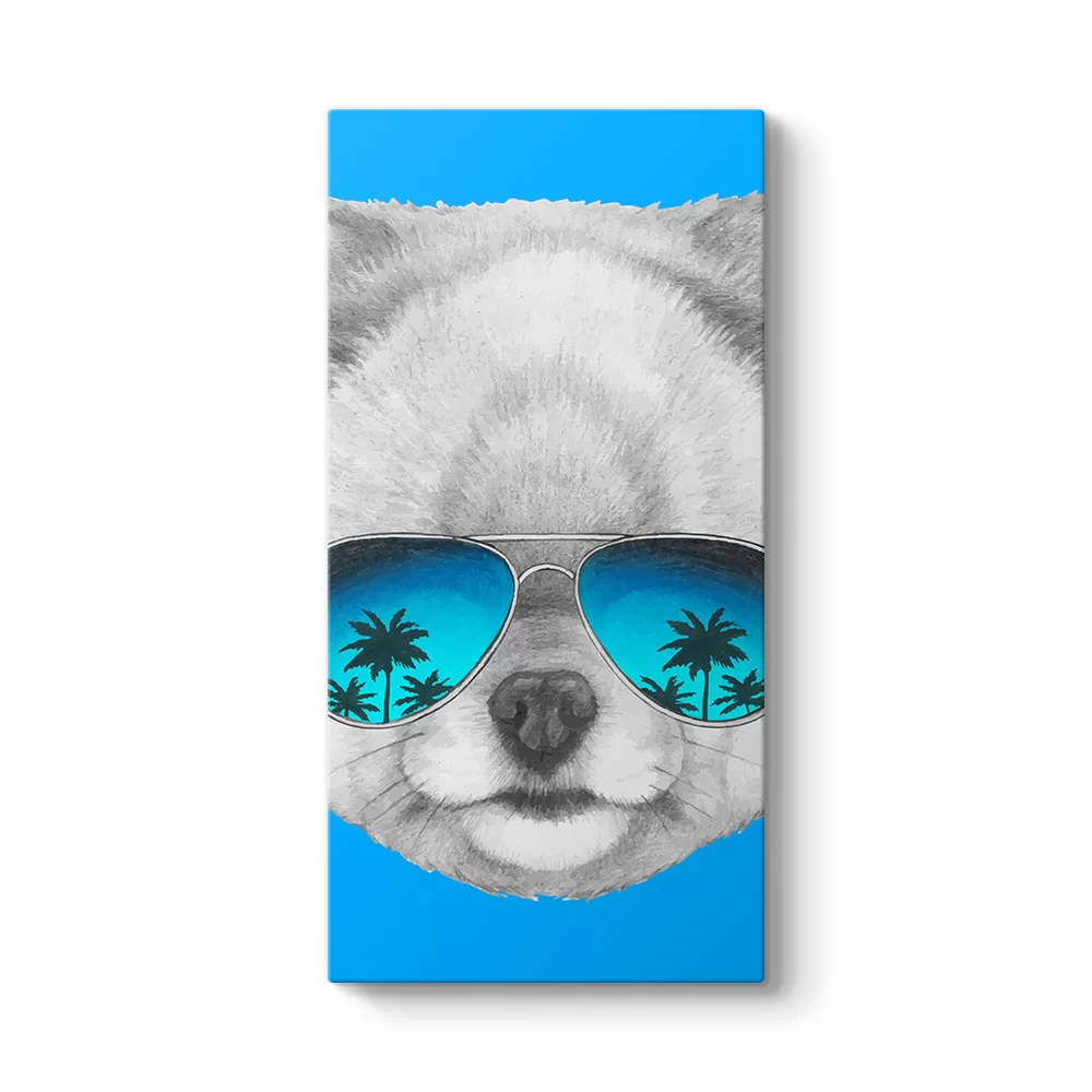 Pomeranian Boo Tablosu - Model 7